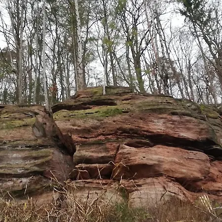 Felsenblick Apartamento *